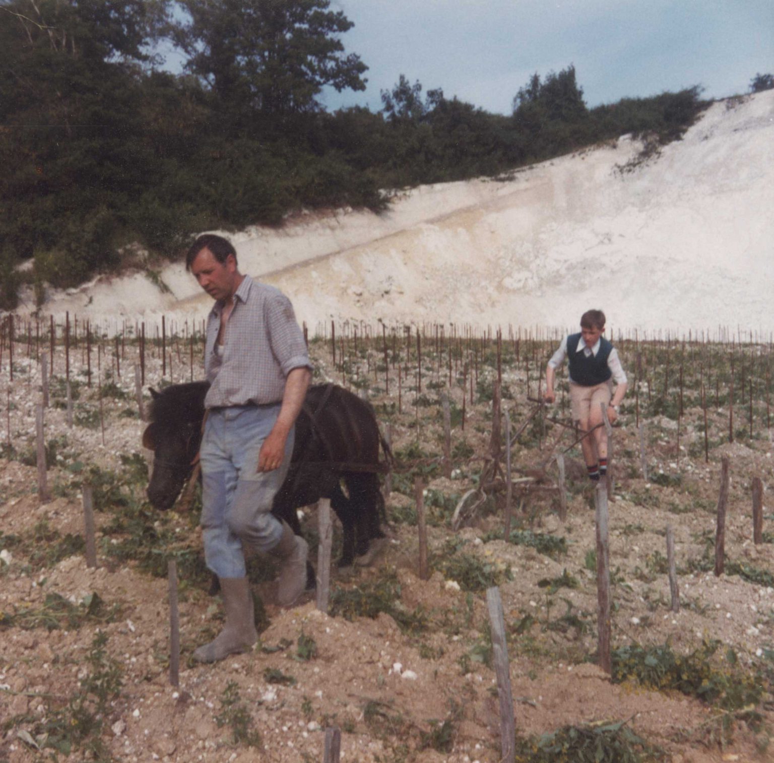 Our Story - Morlet Family Vineyards