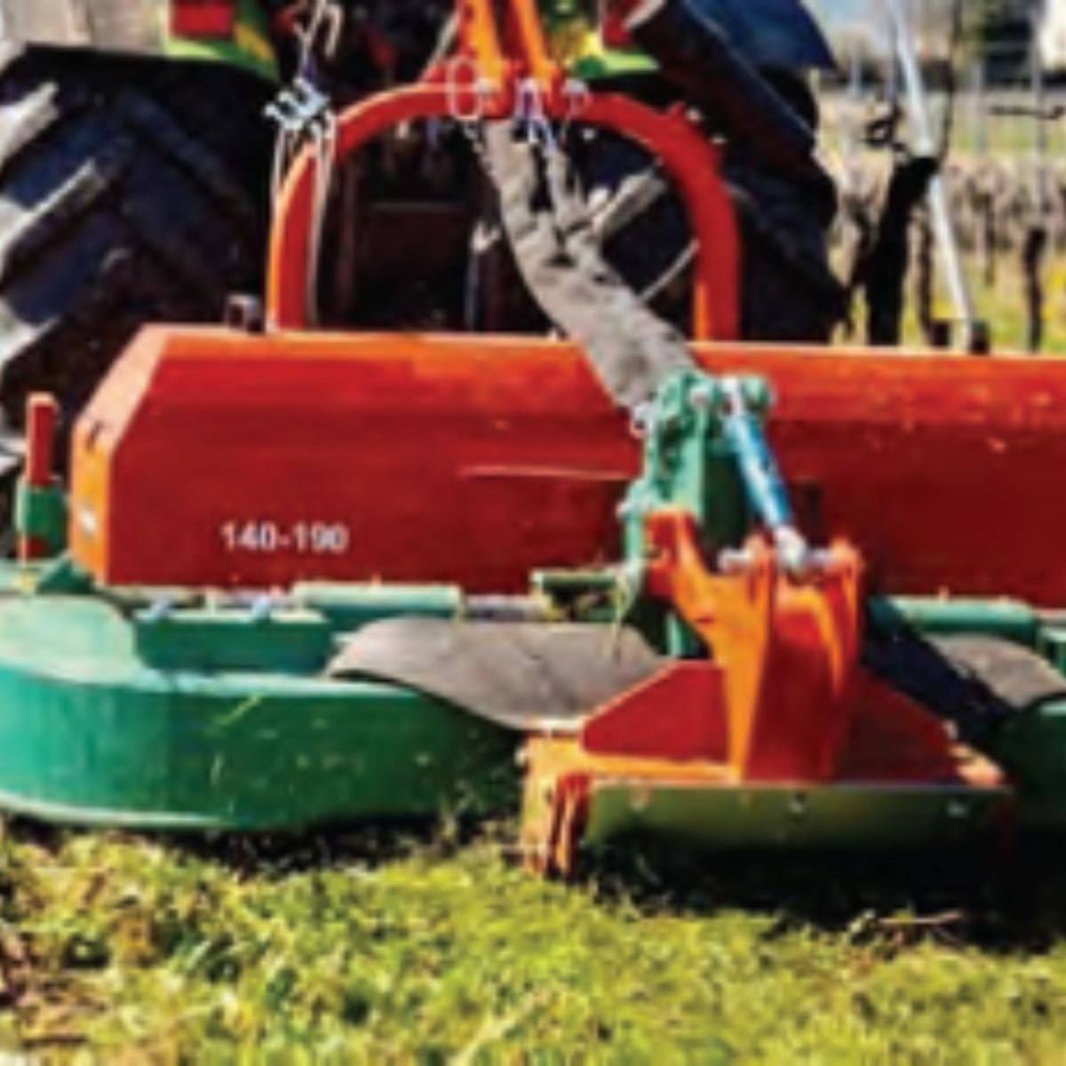 Mowing halts competition with the vines for water and nutrients.